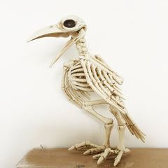 Halloween Bird Crow Rat Cat Dog Animal Skull Skeleton Party Decorations