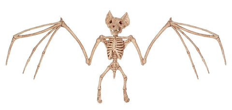 Halloween Bird Crow Rat Cat Dog Animal Skull Skeleton Party Decorations