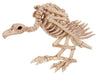 Image of Halloween Bird Crow Rat Cat Dog Animal Skull Skeleton Party Decorations