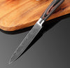 Image of Stainless Steel Blade Damascus Laser Cooking Set Chef Kitchen Knife