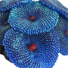 Image of Artificial Coral Ornaments Aquarium Fish Tank Decorations