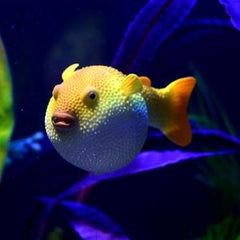 Silicone Fish Ornaments Aquarium Fish Tank Decorations