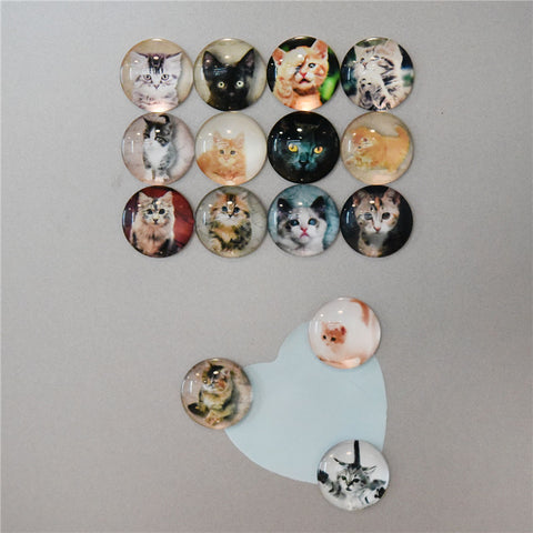 5Pcs Cute Cat Glass Dome Decorative Fridge Refrigerator Magnets
