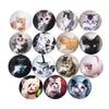Image of 5Pcs Cute Cat Glass Dome Decorative Fridge Refrigerator Magnets