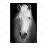 Image of Black And White Animal Painting Canvas Wall Art
