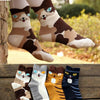 Image of 5 pairs Cute Animal Cartoon Funny Women Socks