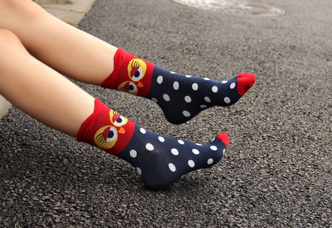 5 pairs Cute Animal Cartoon Funny Women Socks