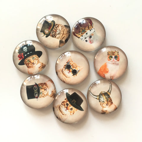8Pcs Cute Cat Glass Round Decorative Fridge Refrigerator Magnets