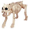 Image of Halloween Bird Crow Rat Cat Dog Animal Skull Skeleton Party Decorations